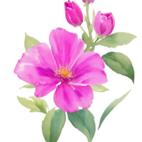 ai généré, aquarelle fleur, aquarelle floral conception, aquarelle clipart fleur, aquarelle png