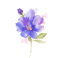 ai généré, aquarelle fleur, aquarelle floral conception, aquarelle clipart fleur, aquarelle png