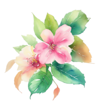 ai gegenereerd, waterverf bloem, waterverf bloemen ontwerp, waterverf clip art bloem, waterverf png