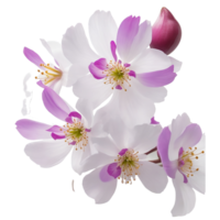 ai generiert, Aquarell Blume, Aquarell Blumen- Design, Aquarell Clip Art Blume, Aquarell png