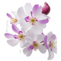 ai generado, acuarela flor, acuarela floral diseño, acuarela clipart flor, acuarela png