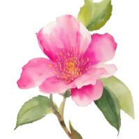 ai genererad, vattenfärg blomma, vattenfärg blommig design, vattenfärg ClipArt blomma, vattenfärg png