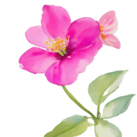 ai generado, acuarela floral diseño, acuarela, acuarela flor, clipart png