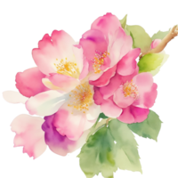 ai generado, acuarela, acuarela floral, acuarela flor diseño png