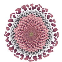 ai generado, mandala diseño, mándala, hermosa mandala png