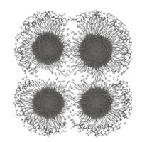 ai generado, mandala diseño, mándala, hermosa mandala png