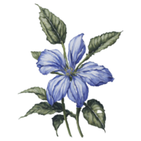 ai generado, acuarela flor, acuarela hermosa defectuoso, acuarela png