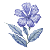 Ai Generated,Watercolor Flower, Watercolor Beautiful Flawer, Watercolor png