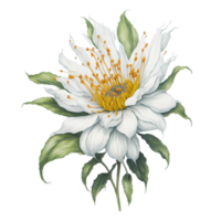 ai généré, aquarelle fleur, aquarelle magnifique plus imparfait, aquarelle png