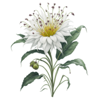 ai genererad, akvarell blomma, vattenfärg skön blomma, vattenfärg png