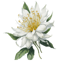 ai généré, aquarelle fleur, aquarelle magnifique fleur, aquarelle png