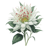 ai generado, acuarela flor, acuarela hermosa defectuoso, acuarela png