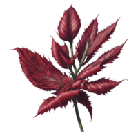 ai generato,acquerello fiore, acquerello bellissimo imperfetto, acquerello png