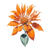 ai generiert, Aquarell Blume, Aquarell schön Fehlerer, Aquarell png