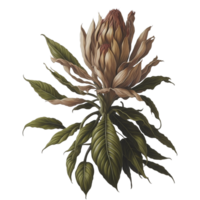 ai generato,acquerello fiore, acquerello bellissimo imperfetto, acquerello png