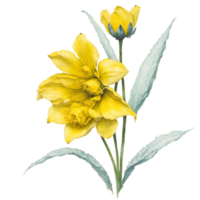 ai generato, acquerello fiore, acquerello bellissimo fiore, acquerello png