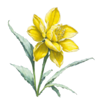 ai generato, acquerello fiore, acquerello bellissimo fiore, acquerello png