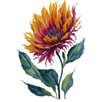 ai généré, aquarelle fleur, aquarelle magnifique fleur, aquarelle png