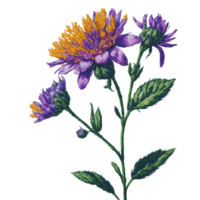 ai generato, acquerello fiore, acquerello bellissimo fiore, acquerello png