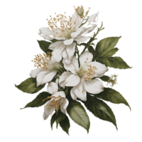 ai genererad, vattenfärg blomma, vattenfärg skön blomma, vattenfärg png