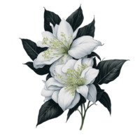 ai generato, acquerello fiore, acquerello bellissimo fiore, acquerello png