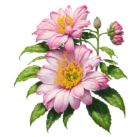 ai generato, acquerello fiore, acquerello bellissimo fiore, acquerello png