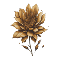 waterverf bloemen bloem ontwerp, waterverf bloem regelingen bloemen, waterverf bloem ontwerp, bloem sublimatie bloemen clip art, bruiloft decoratie, boho ronde bloemen kader, ai gegenereerd vrij PNG