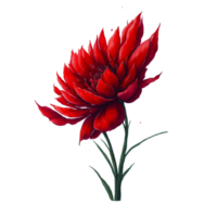 vattenfärg blommig blomma design, vattenfärg blomma arrangemang blommig, vattenfärg blomma design, blomma sublimering blommig ClipArt, bröllop dekoration, boho runda blommig ram, ai genererad fri png