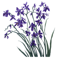 waterverf bloem, waterverf bloemen bloem ontwerp, waterverf bloem regelingen bloemen, waterverf bloem ontwerp, bloem sublimatie bloemen clip art, bruiloft decoratie, ai gegenereerd vrij PNG