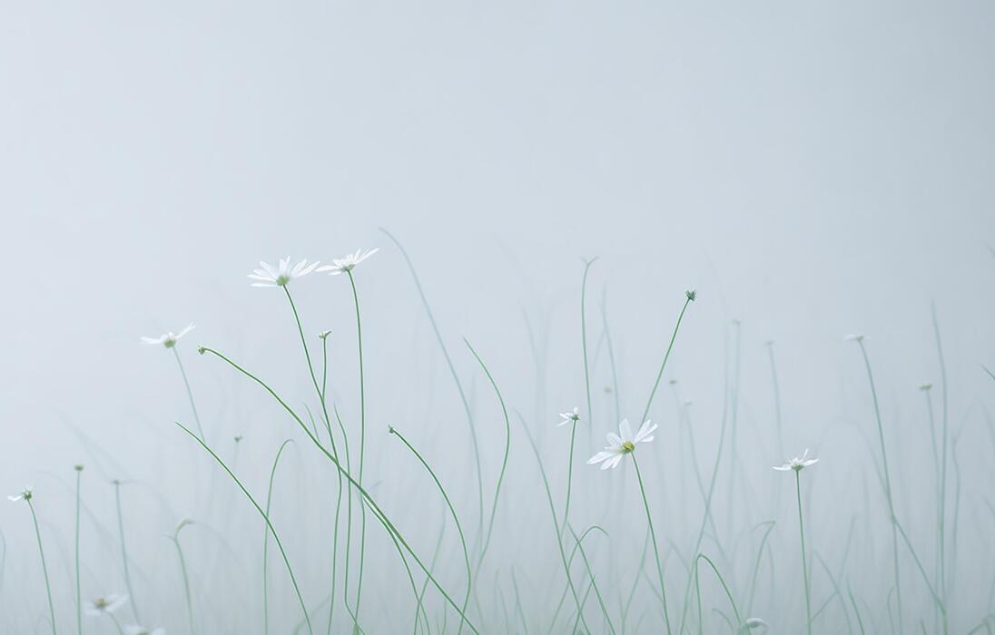Japanese Minimalist Stock Photos, Images and Backgrounds for Free Download