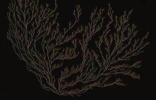Abstract Black Background, Black And White Background, Background, photo