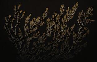 Abstract Black Background, Black And White Background, Background, photo