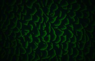 Green Abstract Background, abstract Background, Green background, Background, photo