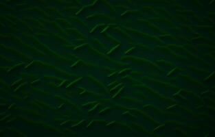 Green Abstract Background, abstract Background, Green background, Background, photo