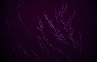 Purple Abstract Background, Abstract Background, photo