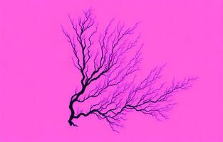 Pink Abstract Background, Abstract Background,Background, photo