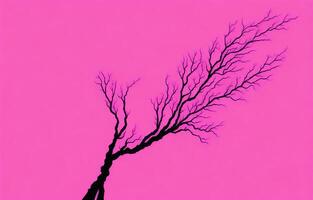 Pink Abstract Background, Abstract Background,Background, photo