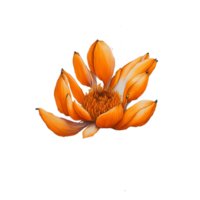 waterverf bloem ontwerp, waterverf bloem bloemen ontwerp, waterverf bloem arrangementen, bloem sublimatie bloemen clip art, bruiloft, ai gegenereerd png