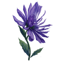 waterverf bloem ontwerp, waterverf bloem bloemen ontwerp, waterverf bloem arrangementen, bloem sublimatie bloemen clip art, bruiloft, ai gegenereerd png