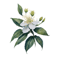 aguarela flor projeto, aguarela flor floral projeto, aguarela flor arranjos, flor sublimação floral clipart, casamento, ai gerado png