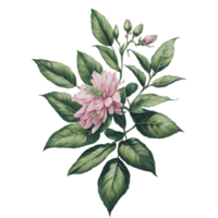 ai generato, acquerello fiore, acquerello bellissimo fiore, acquerello, acquerello floreale disegno, acquerello decorare, acquerello floreale mazzo png