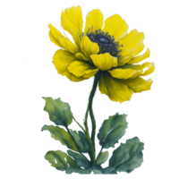 ai generato, acquerello fiore, acquerello bellissimo fiore, acquerello, acquerello floreale disegno, acquerello decorare, acquerello floreale mazzo png