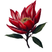 ai gegenereerd, waterverf bloem, waterverf mooi bloem, waterverf, waterverf bloemen ontwerp, waterverf versieren, waterverf bloemen boeket png