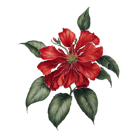 ai gegenereerd, waterverf bloem, waterverf mooi bloem, waterverf, waterverf bloemen ontwerp, waterverf versieren, waterverf bloemen boeket png