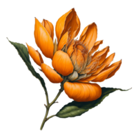 ai gegenereerd, waterverf bloem, waterverf mooi bloem, waterverf, waterverf bloemen ontwerp, waterverf versieren, waterverf bloemen boeket png