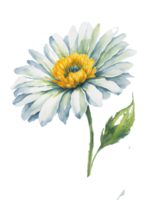 waterverf Bloemen boeket, waterverf boeket bloem, bruiloft bloem, waterverf bloemen ontwerp, botanisch bloem, waterverf decoratie, ai gegenereerd png