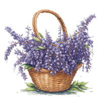 waterverf mand bloem, waterverf bloemen ontwerp, waterverf bloem, waterverf boeket bloem, waterverf bloesem, waterverf decoratie, botanisch, bruiloft, ai gegenereerd png