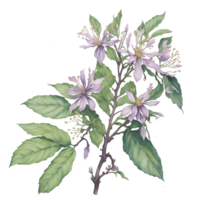 aguarela buquê de flores, aquarela, ramalhete flor, Casamento flor, aguarela floral projeto, botânico flor, aguarela decoração, aguarela florescer, ai gerado png