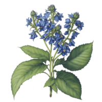 waterverf Bloemen boeket, waterverf, boeket bloem, bruiloft bloem, waterverf bloemen ontwerp, botanisch bloem, waterverf decoratie, waterverf bloesem, ai gegenereerd png