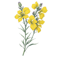 vattenfärg blombukett, vattenfärg, bukett blomma, bröllop blomma, vattenfärg blommig design, botanisk blomma, vattenfärg dekoration, vattenfärg blomma, ai genererad png